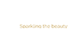 Ritz Syari Official Website